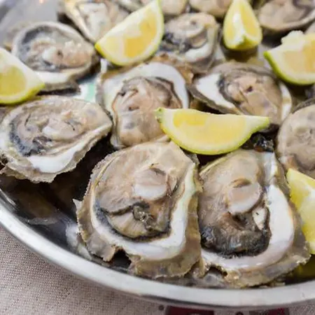 Relax Ston - Two Bedroom With Terrace